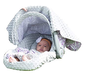 Carseat Canopy Whole Caboodle - Mikayla