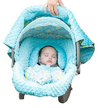 Carseat Canopy Whole Caboodle - Kennedy